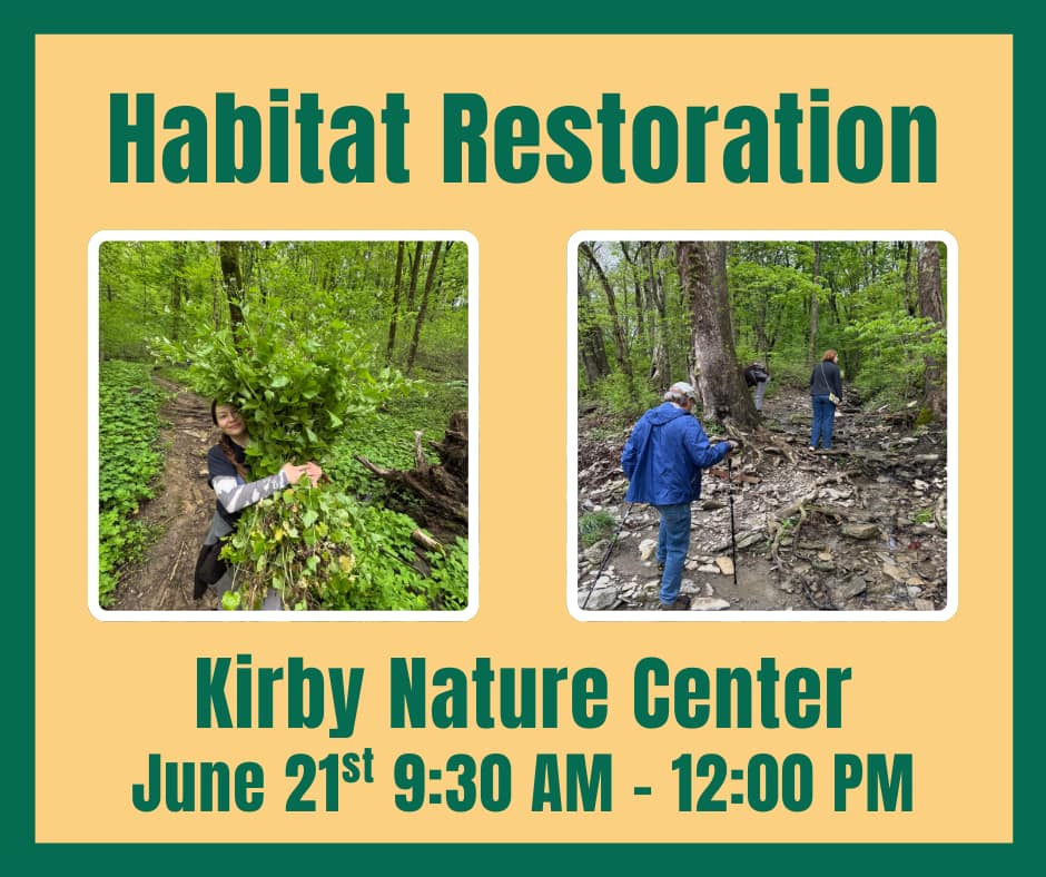 Kirby Nature Preserve Restoration