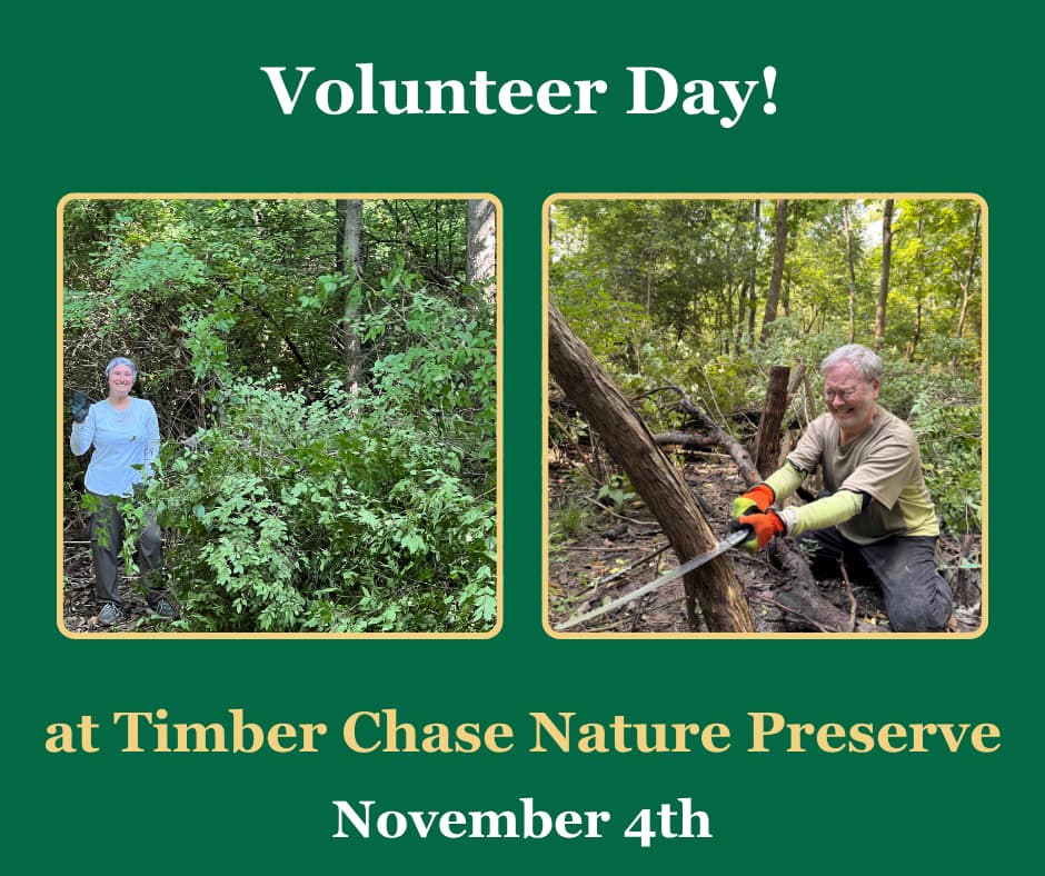 Volunteer at Timber Chase Nature Preserve