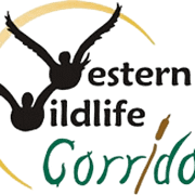 westernwildlifecorridor.org logo