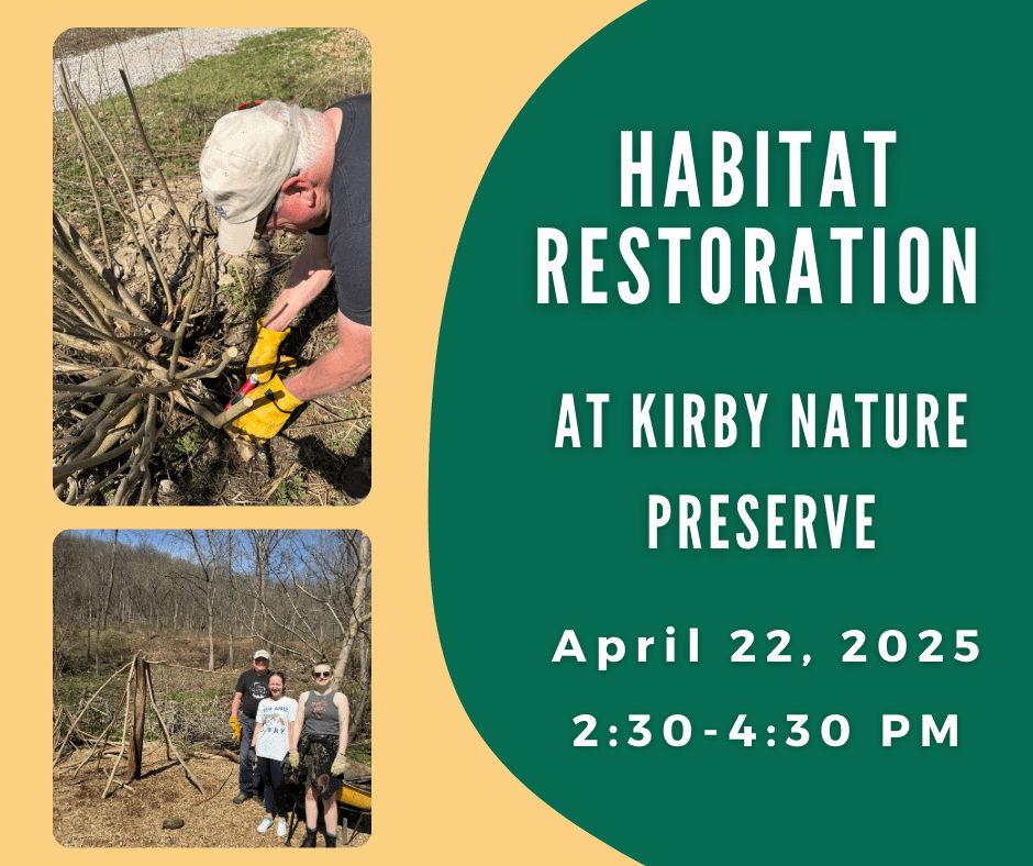Habitat Restoration at Kirby Nature Preserve