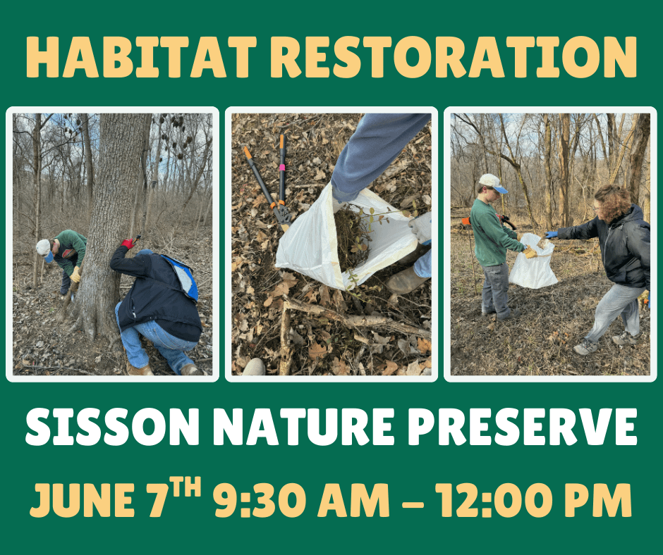 Sisson Nature Preserve Restoration