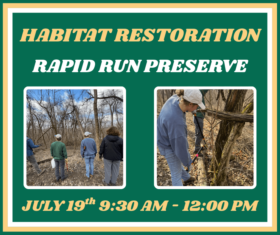 Habitat Restoration at Rapid Run