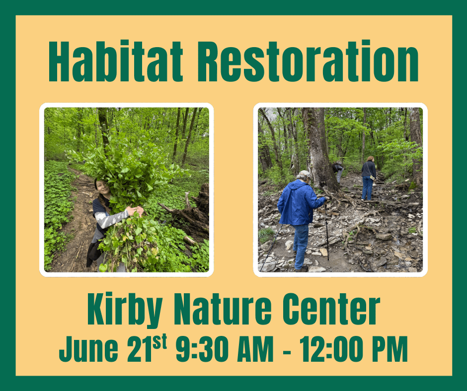 Kirby Nature Preserve Restoration