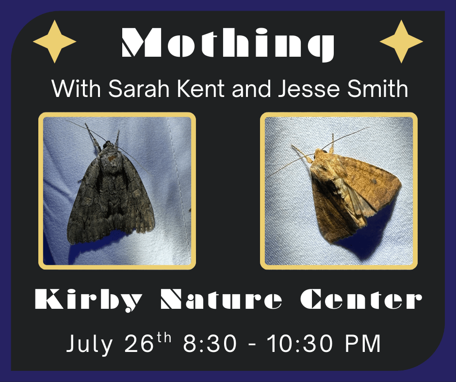 Mothing with Sarah Kent and Jessee Smith