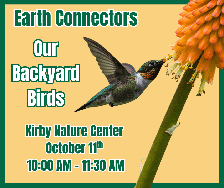 Earth Connectors - Our Backyard Birds