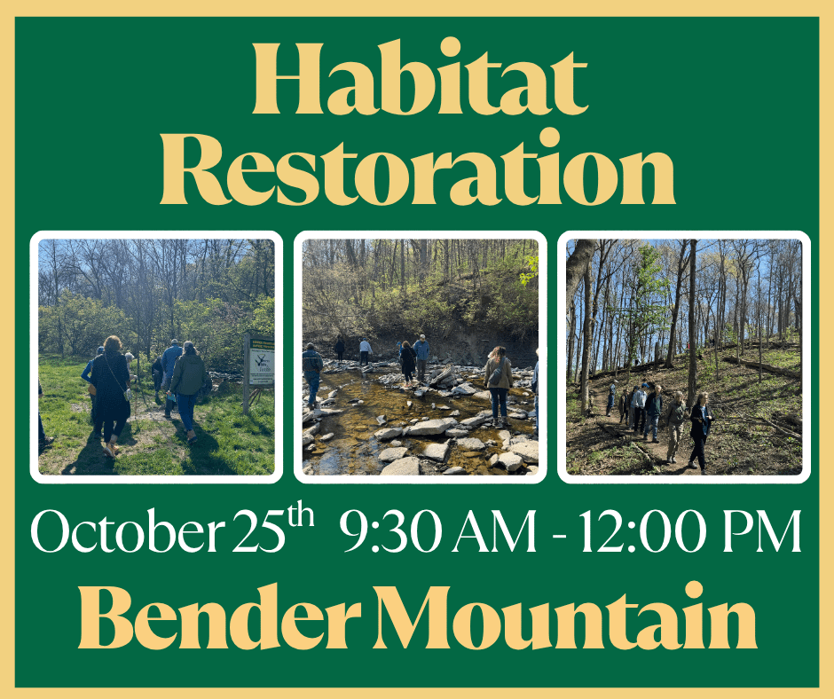 Bender Mountain Habitat Restoration