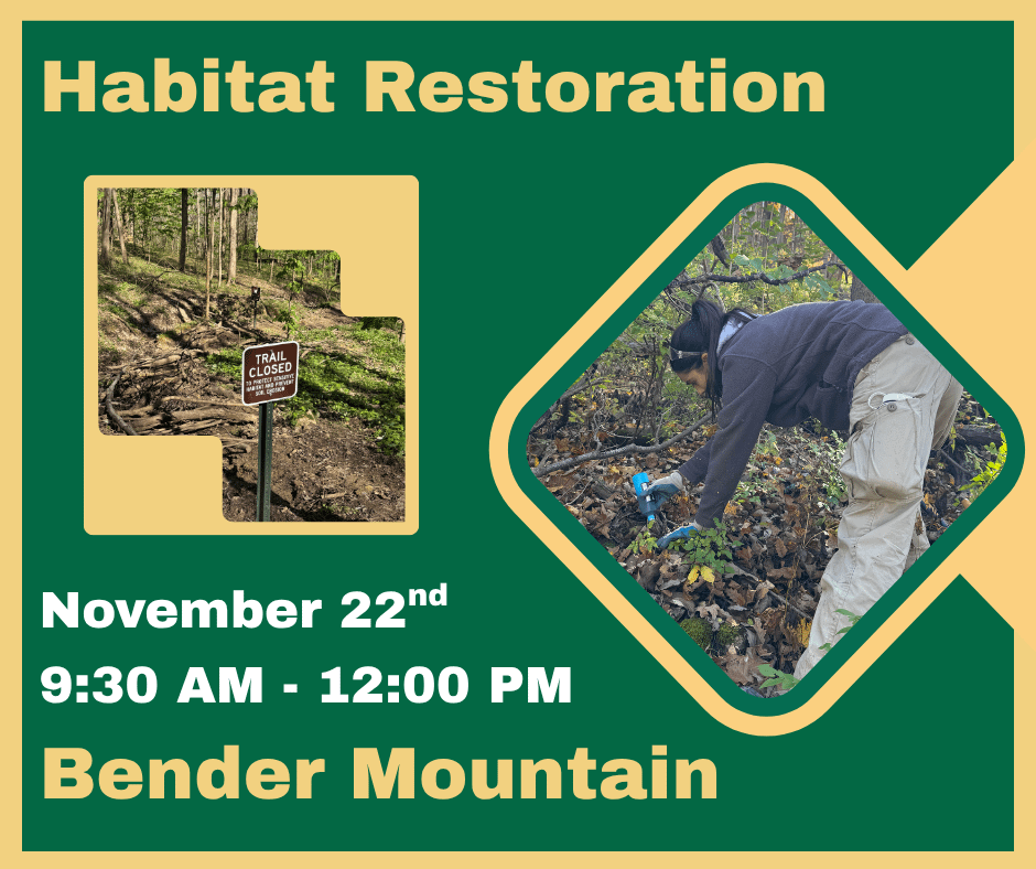 Bender Mountain Habitat Restoration