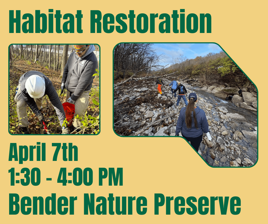 Habitat Restoration at Bender Nature Preserve