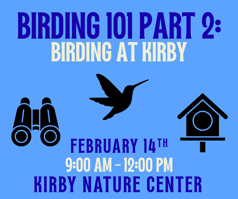 Birding 101: Part 2 with Kathi Hutton