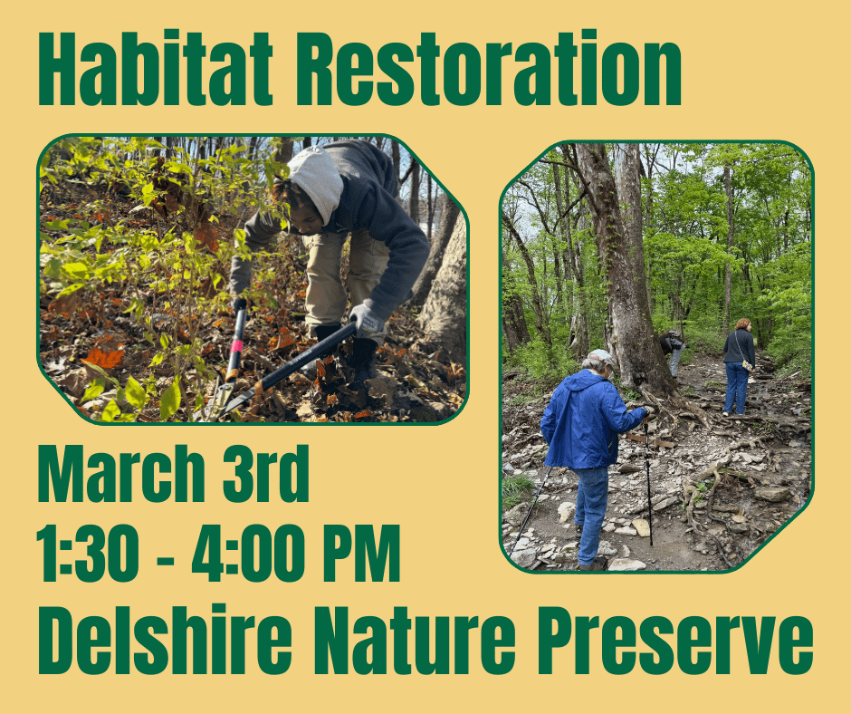 Habitat Restoration at Delshire Nature Preserve
