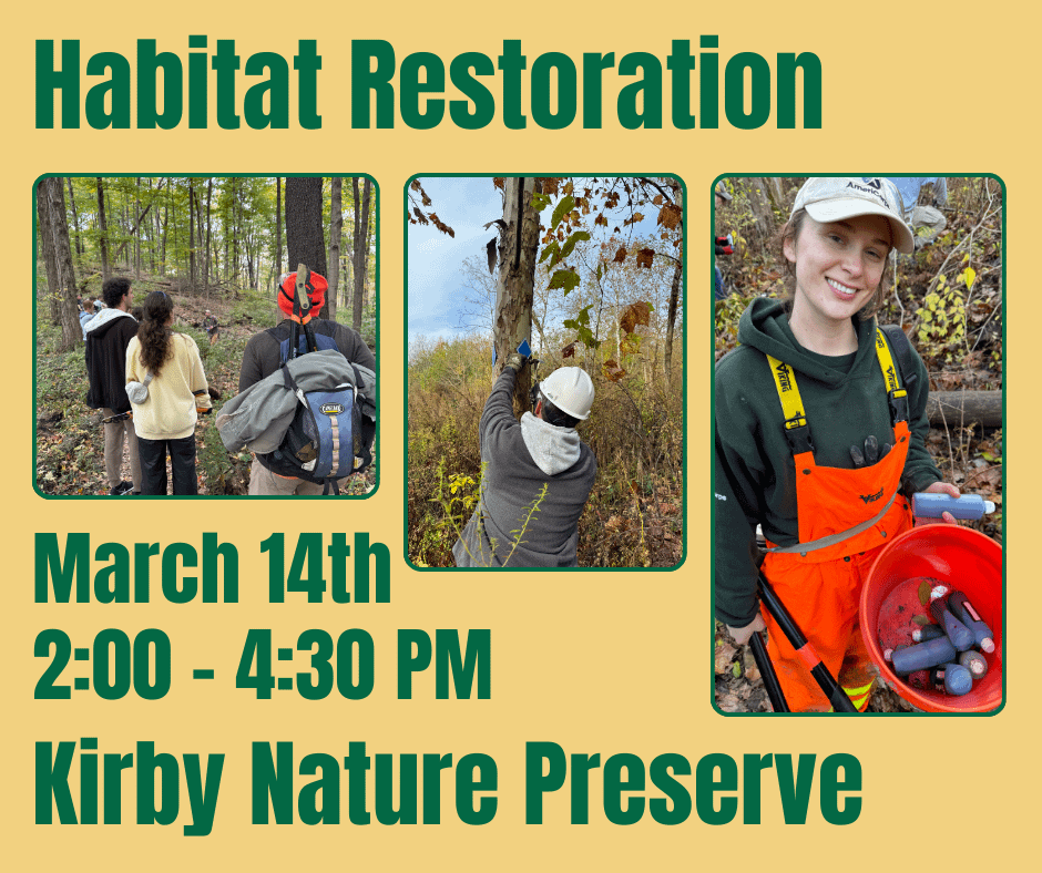 Habitat Restoration at Kirby Nature Preserve