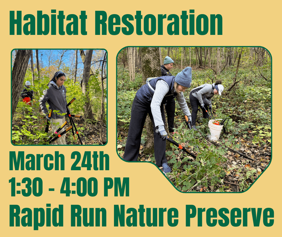 Habitat Restoration at Rapid Run Nature Preserve