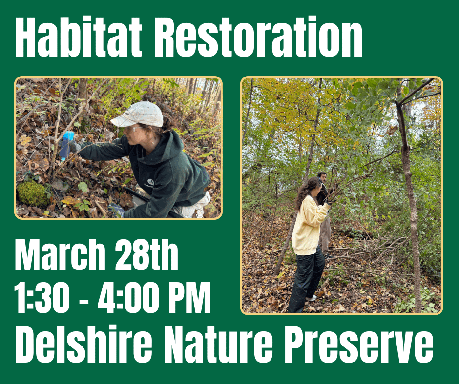 Habitat Restoration at Delshire Nature Preserve