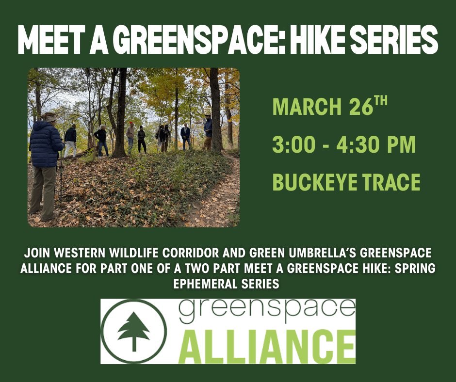 Meet a Greenspace Hike