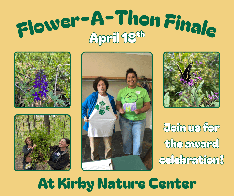Flower-A-Thon Finale