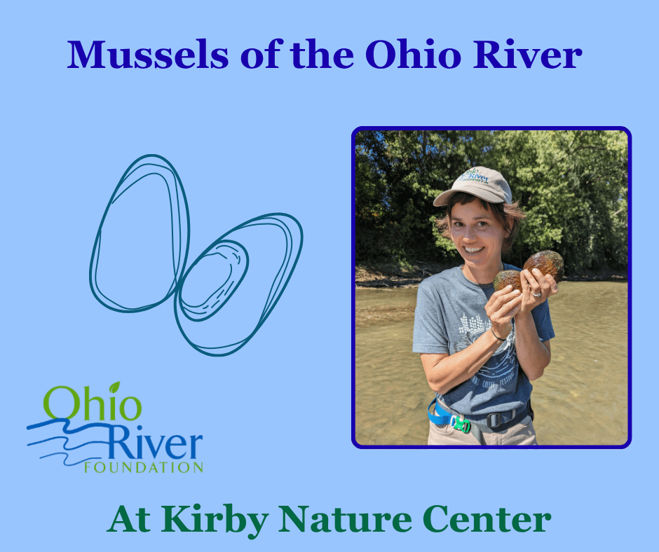 Life Beneath the Surface: Freshwater Mussels with Ohio River Foundation