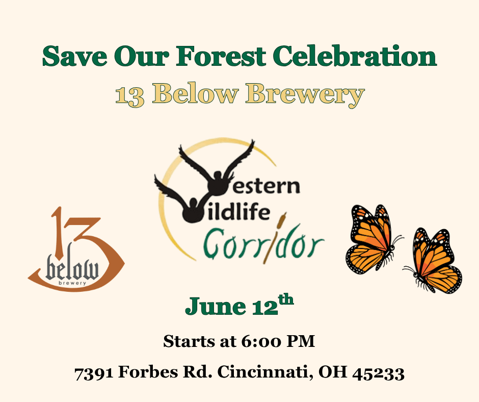 Save Our Forest Celebration