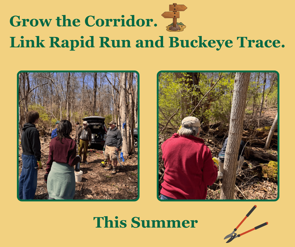Build the Link: Rapid Run to Buckeye Trace