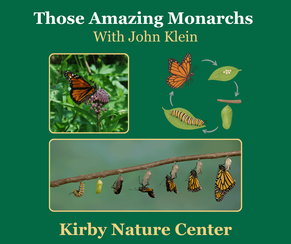 Those Amazing Monarchs with John Klein