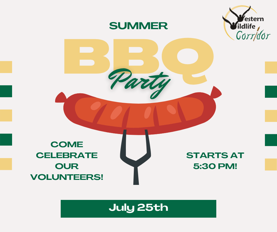 Volunteer Appreciation Picnic: Celebrating All You Do!