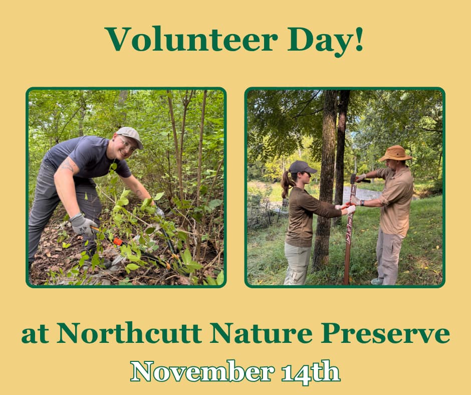 Volunteer at Northcutt Nature Preserve