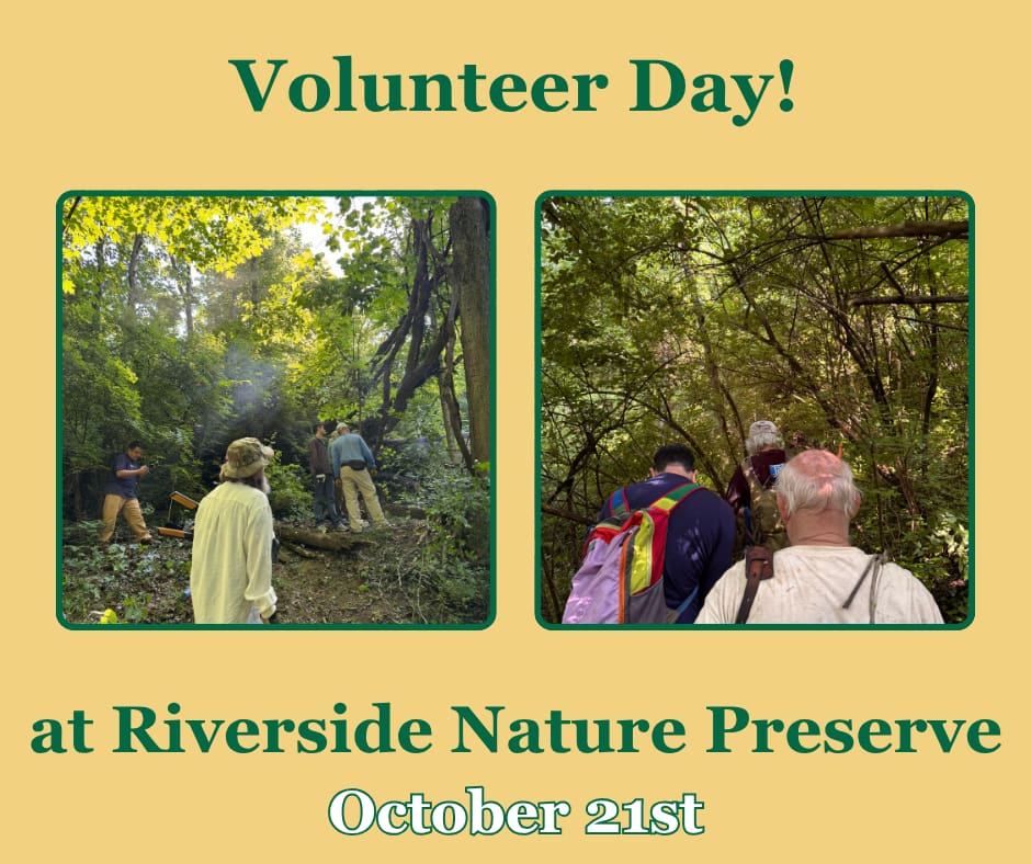 Volunteer at Riverside Nature Preserve